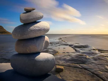free wellness courses