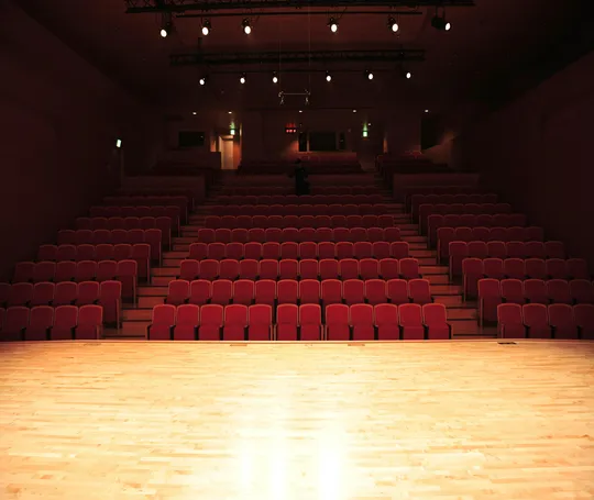 Online Course on Overcoming Stage Fright for Coaches