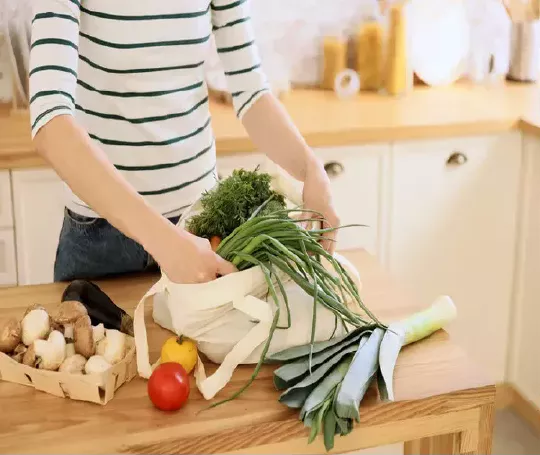 Curson Online Vegetarian and Vegan Nutrition
