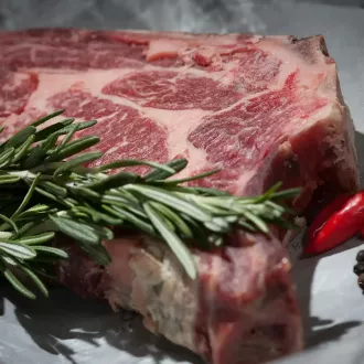 Benefits challenges carnivorous diet benefits