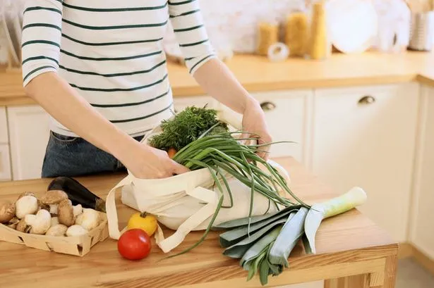 Course online vegetarian nutrition and vegan