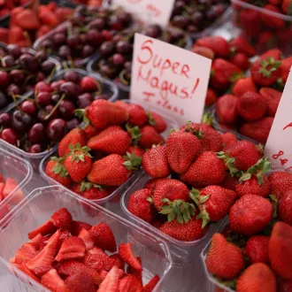Best superfoods optimal nutrition - nutrition