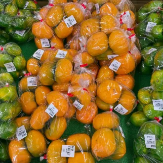 Course nutrition geriatric huelva - nutrition geriatrics