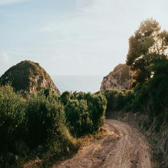 How important is fiber in an endomorph's diet? - diets endomorphs