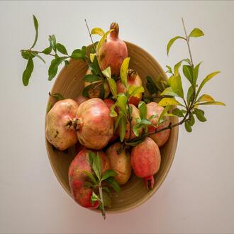 How long does an online holistic nutrition course last? - nutrition holistic