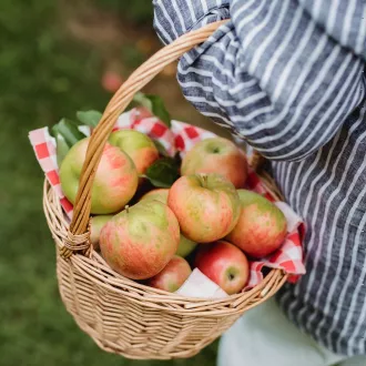 Nutrition advice weight lifting weights - nutritional coaching