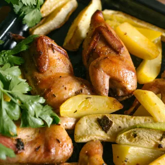 Nutrition conception improve your well being - nutrition