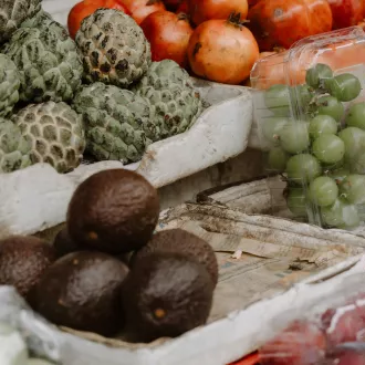 Nutrition holistic nutrition huelva course - nutrition holistic