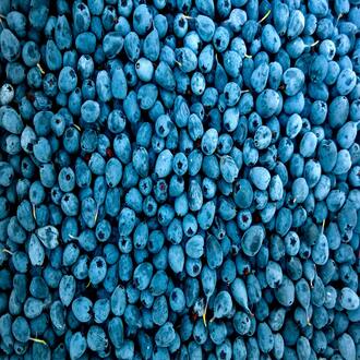 Online course on food allergens and intolerances for residential homes - allergens