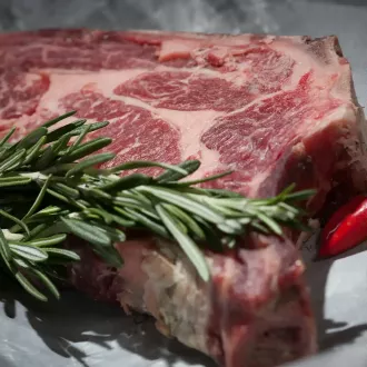 Start diet carnivorous diet: beginners guide - nutrition carnivore