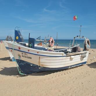 Vegan supplementation - nutrition vegetarian