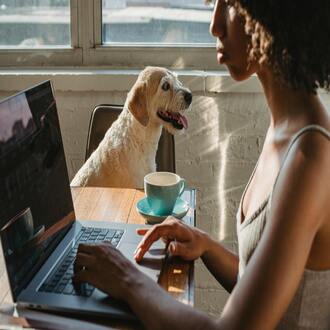 Affordable course opportunities: your future starts here! -  cursos baratos online con certificado