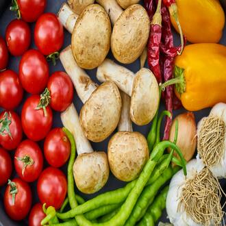 Affordable online nutrition course for endomorphs - diets endomorphs