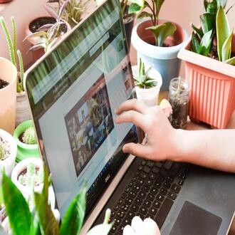 Are there cheap online courses that give you a diploma? -  cursos baratos online con certificado