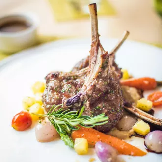 Course nutrition cucuta learn experts - nutrition