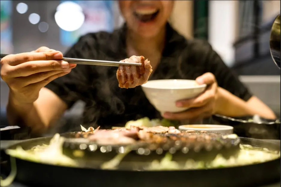 Course online diet carnivorous diets - nutrition carnivore