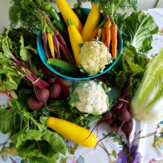 Endomorph nutrition strategies - diets endomorphs