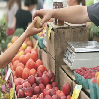 Ethical considerations in the nutrition of dependent older adults - nutrition geriatrics