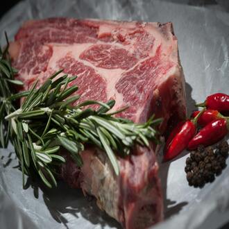 Fats in the carnivore diet - nutrition carnivore