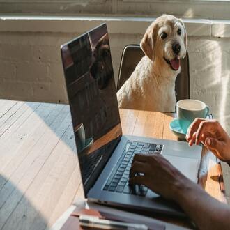 Ganga cursos online: your guide to affordable online learning