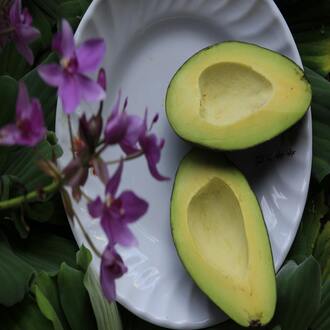 High-protein diets for endomorphs - diets endomorphs