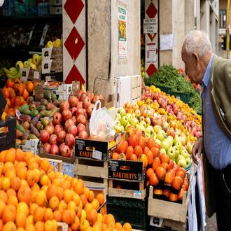 How can nutrition improve cognitive function in older adults? - nutrition geriatrics