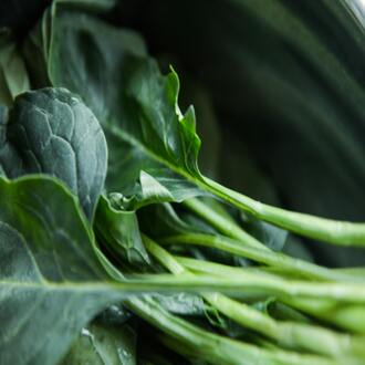 How does stress affect an endomorph body? - diets endomorphs