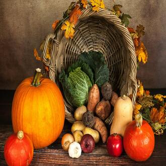 Intensive online nutrition and dietetics course - nutrition