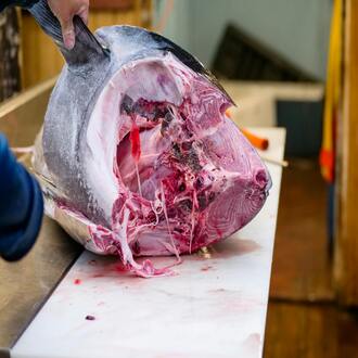 Is the carnivore diet expensive? - nutrition carnivore