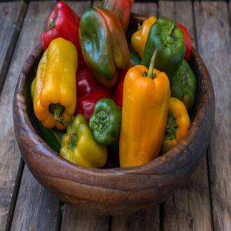 Is the online course for losing fat and gaining muscle suitable for beginners? - creation diets