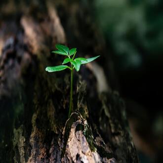 Life coaching course for young people - life coaching