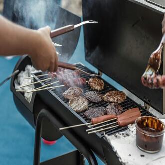 Online carnivore nutrition course: is it right for me? - nutrition carnivore