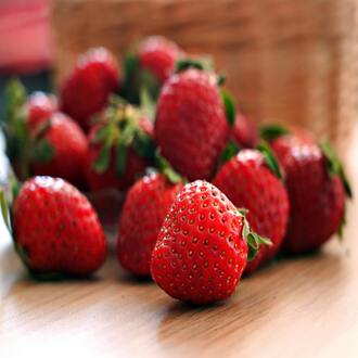 Online course on food allergens and intolerances: reviews - allergens