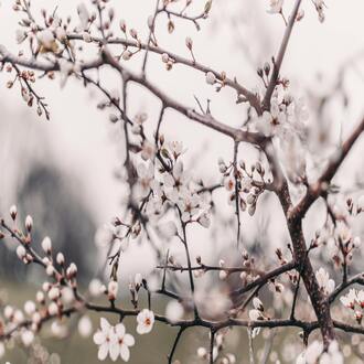 Online course on quality of life and stress management - quality life