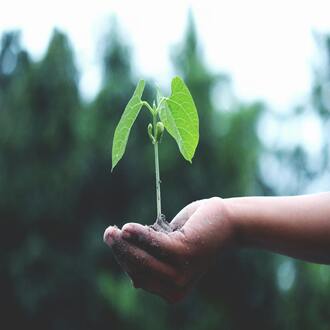 Online course on quality of life with official certificate - quality life