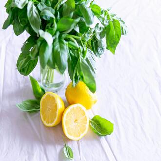 Online nutrition course for endomorphs latin america - diets endomorphs
