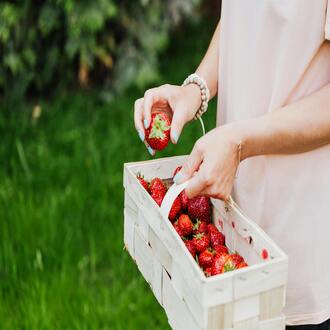 Superfoods - nutrition holistic