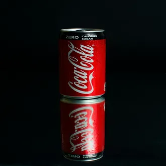 The irrational power of the word free on the consumer