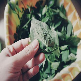 What supplements are recommended in holistic nutrition? - nutrition holistic