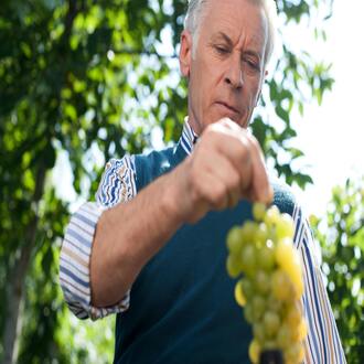 What warning signs indicate that an older adult needs nutritional support? - nutrition geriatrics